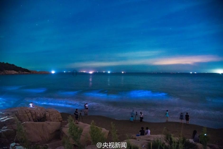 救援顽皮小猴