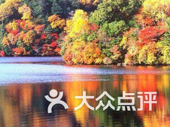 沪江开心词场