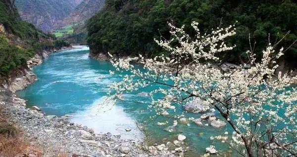 春雨直播app