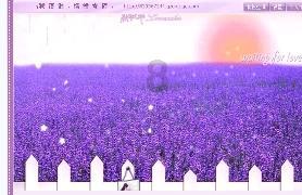 Amanda李若雯：把世界浓缩进一个厨房