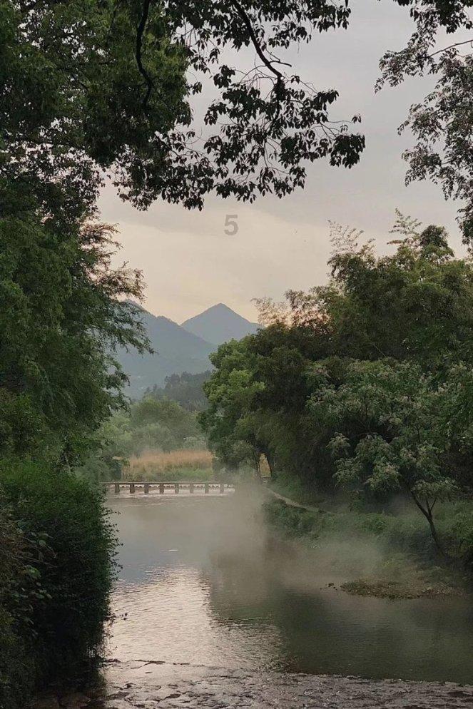 拿破仑：全面战争