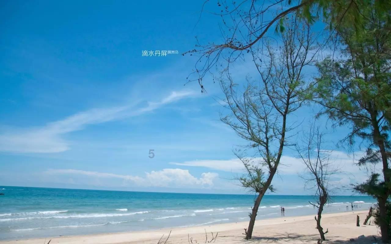 算命先生说她是“天下母”,公公听了窃喜,起兵造反,结果悲剧了