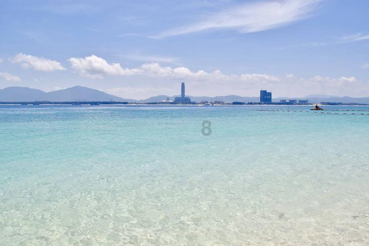动物帮帮忙保卫家园