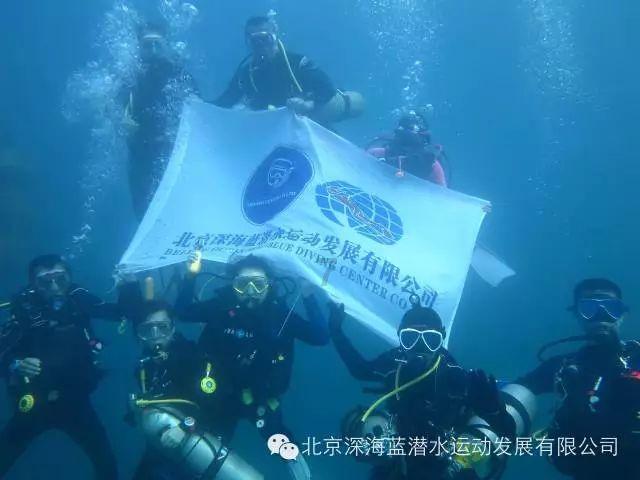 拯救老科学家