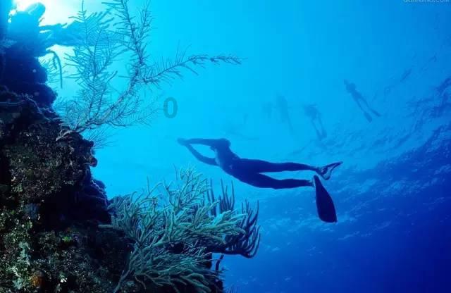 春运首日广铁客流同比增近五成