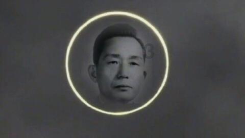 逗小猴开心系列213