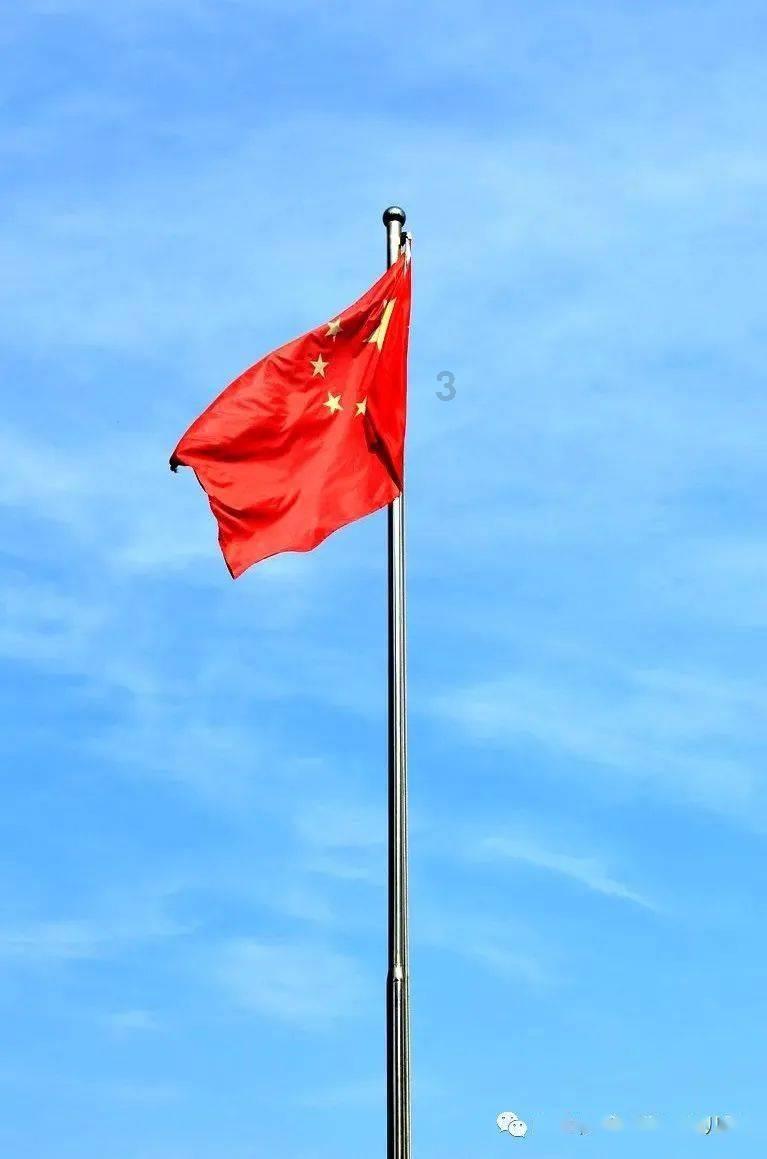 逃离外星人森林
