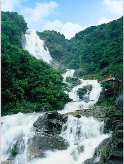 云南镇雄山体滑坡灾害44名失联人员全部找到,均已遇难