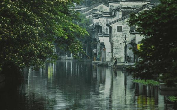 虫虫助手下载