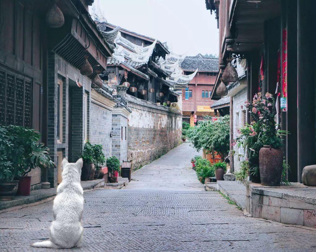 腐烂国度2