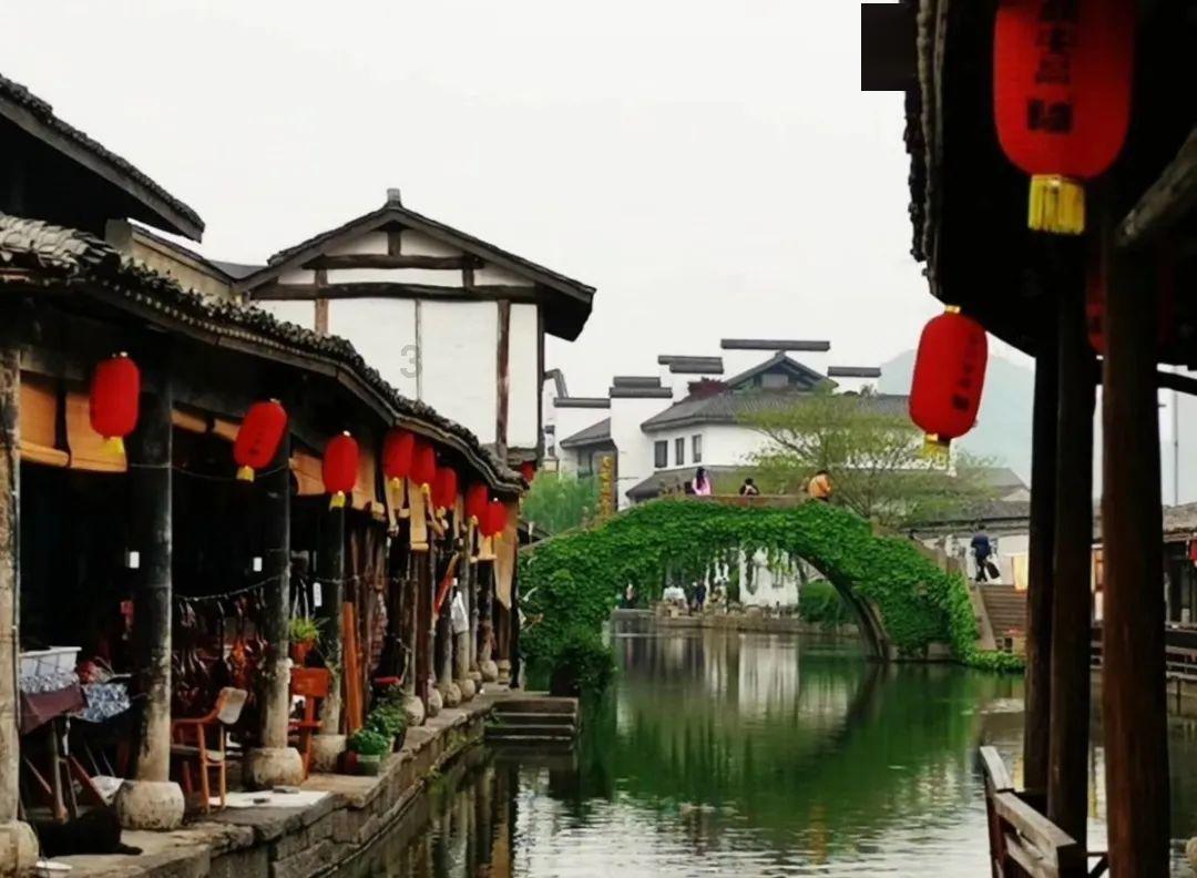 遗传系谱图中各符号的意义游戏画面