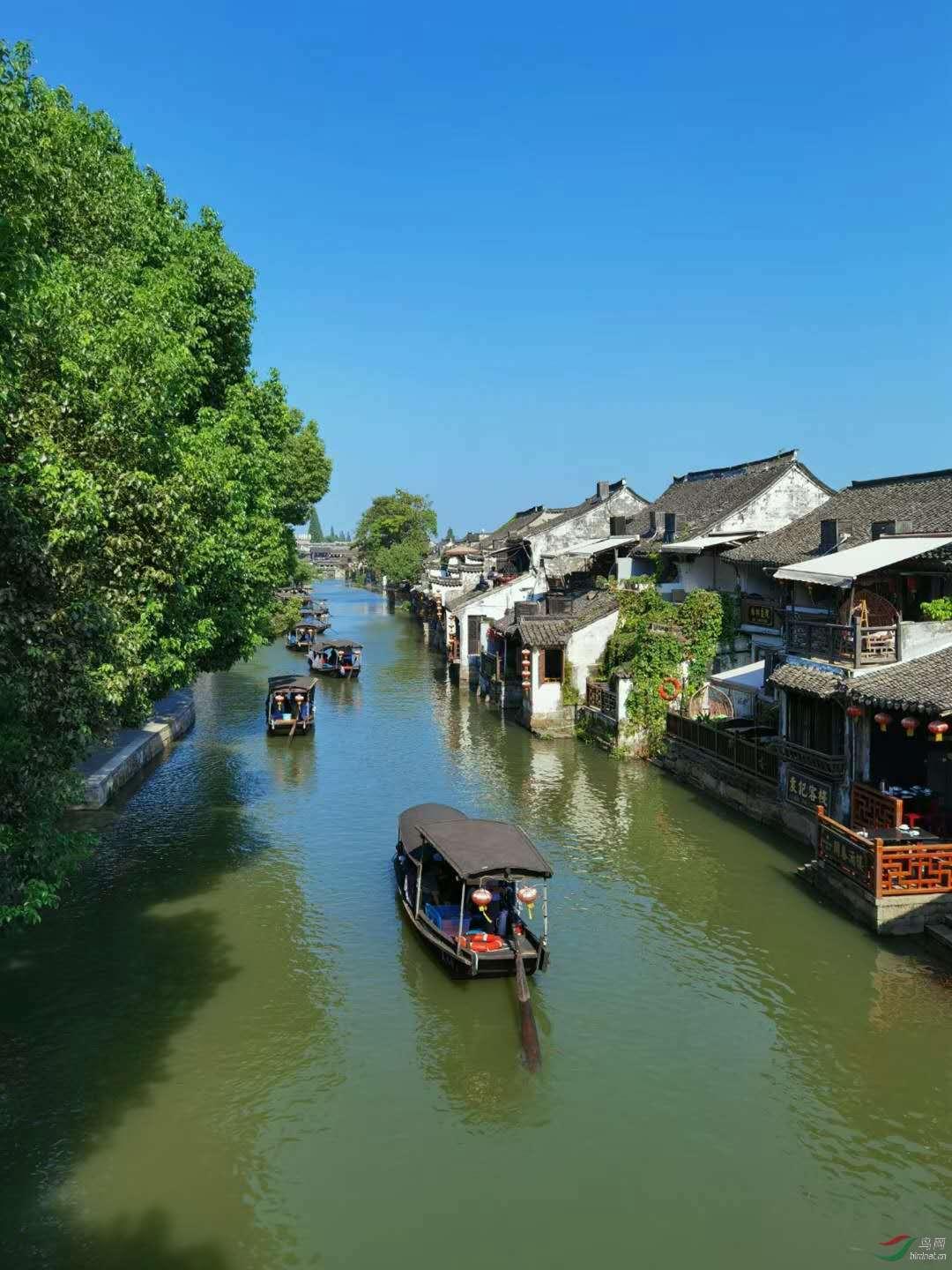 量化连夜改程序薅羊毛？业内：与基本常识与规则不符