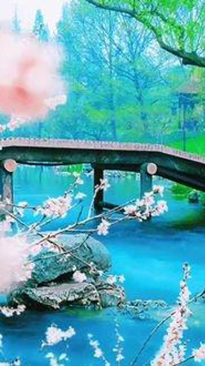 花群中的女孩